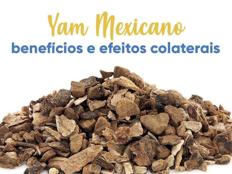 Yam Mexicano: benefcios e efeitos colaterais